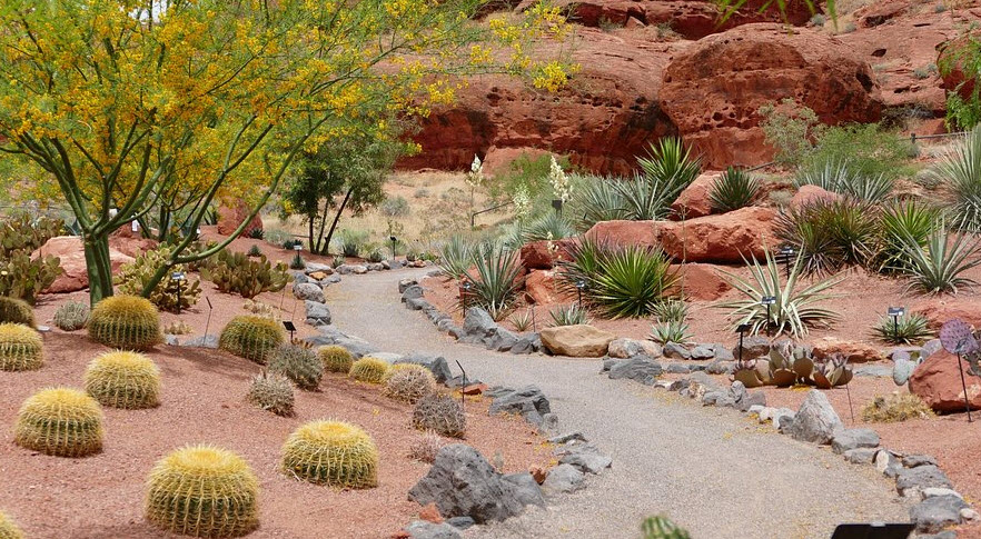 Red Hills Desert Garden, United States